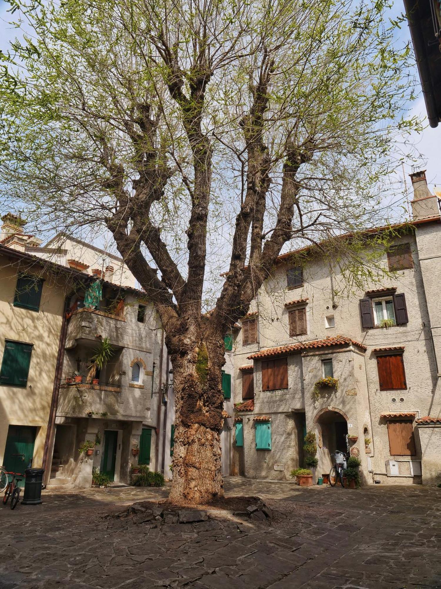 Casa Vianella - Romantico Monolocale Per Vivere Come Una Volta Grado Buitenkant foto